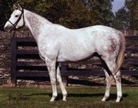 Tapit Pedigree Page