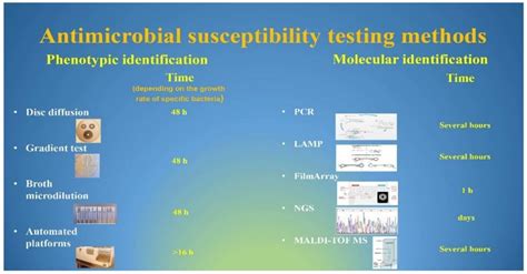 Currently used methods for antimicrobial susceptibility testing. | Download Scientific Diagram