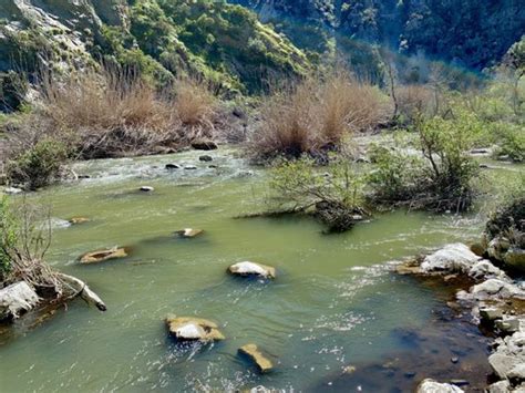 Azusa River Wilderness Park - CLOSED - 52 Photos - Hiking - 100 Old San ...