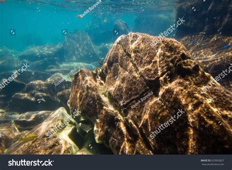 Underwater World Lake Malawi Malawi Stock Photo (Edit Now) 625062827 - Shutterstock