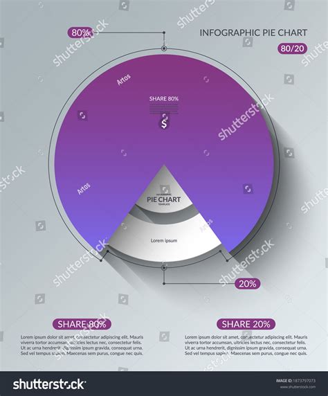 Infographic Pie Chart Template Share 80 Stock Vector (Royalty Free ...