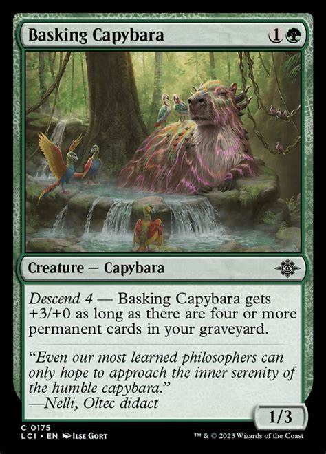 ≫ MTG Basking Capybara decks and prices December 2024 • MTG DECKS