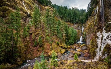 mountain, Waterfall, Tree, Forest, Nature Wallpapers HD / Desktop and ...