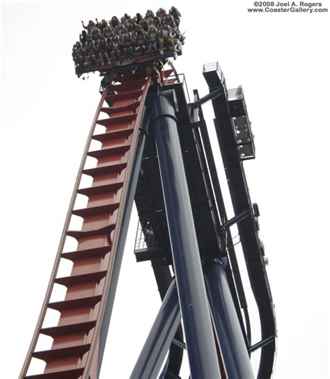 SheiKra dive coaster