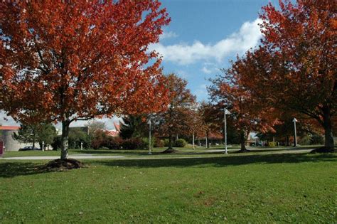 Tamarack Conference Center, Beckley, West Virginia, Wedding Venue