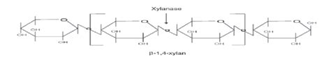 Structure of xylan and the point of action of hydrolysis by xylanase [5] | Download Scientific ...