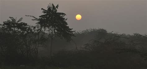 Beautiful Sunrise In Indian Village Stock Photo - Download Image Now ...