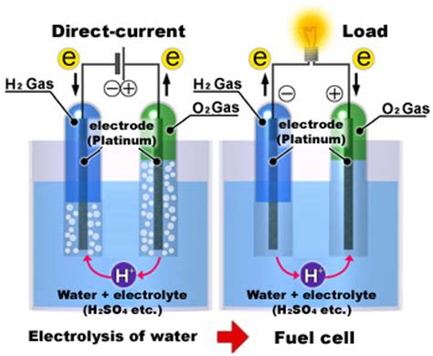 Diagram Of Fuel Cell