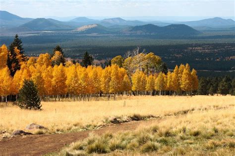 Fall color flagstaff arizona (6). Beautiful fall color in snow bowl, flagstaff, , #Aff, #arizona ...