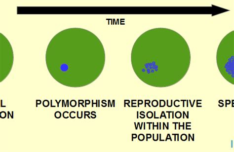 Difference Between Allopatric and Sympatric Speciation | Definition, Types, Features, Examples