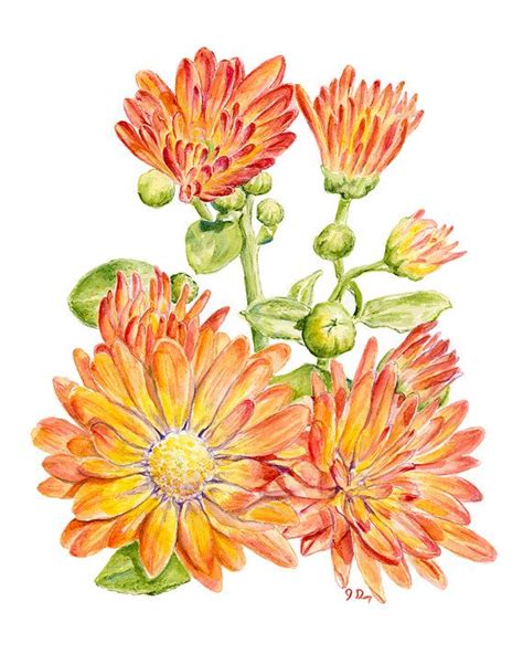 Chrysanthemum Flower Art