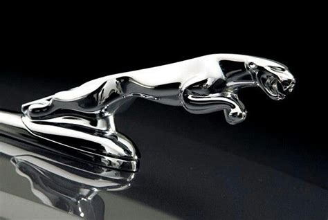 Jaguar | Jaguar car logo, Luxury car logos, Jaguar