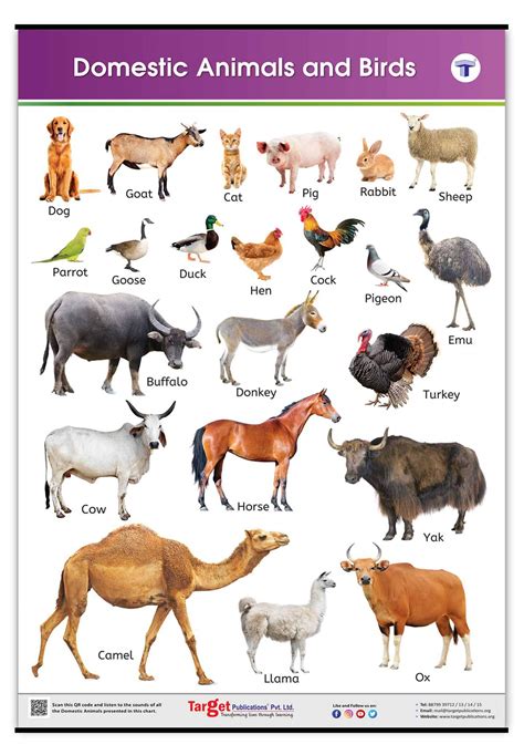 Name of Animals - All Subjects - Notes - Teachmint