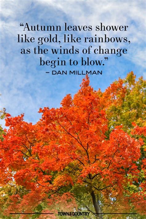 30+ Inspiring Fall Quotes - Best Quotes and Sayings About Autumn