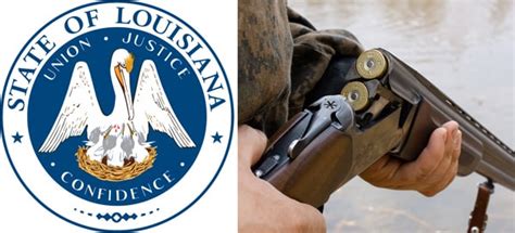 Louisiana Gun Laws: Can Visitors Carry Their Firearm? | Newsmax.com