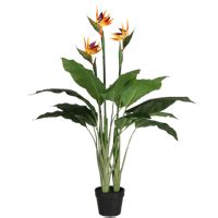 Artificial Bird of Paradise | Tropical & Exotic | Blooming Artificial