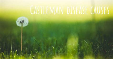 Which are the causes of Castleman disease?