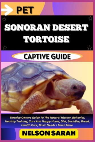 PET SONORAN DESERT TORTOISE CAPTIVE GUIDE: Tortoise Owners Guide To The ...