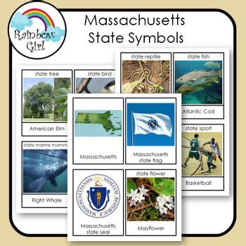 Massachusetts State Symbols