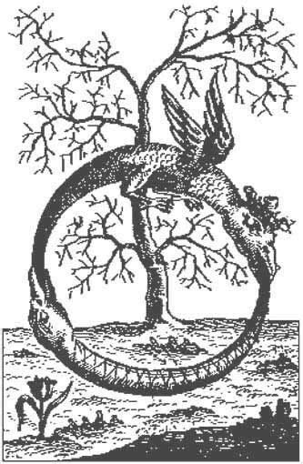 Ouroboros and Tree of Life The Ouroboros is an ancient symbol depicting a serpent or dragon ...