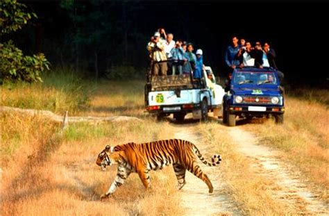 Jim Corbett National Park in Ramnagar, Wildlife Park in Ramnagar