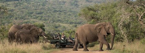 KwaZulu Natal Safaris & Holidays | Best Of South Africa Safaris