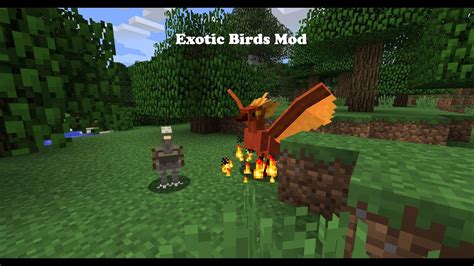 Minecraft Mod Vorstellung // Exotic Birds mod - YouTube