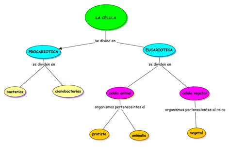 ciencias: Mapa conceptual La célula