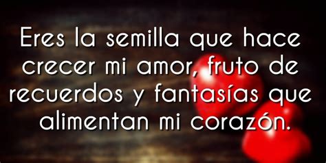 100 frases de amor cortas + imágenes bonitas