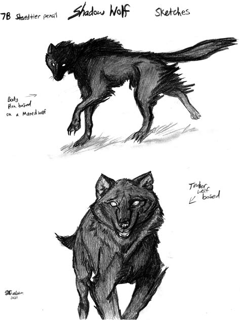 Shadow Wolf Sketches by Auronyth on deviantART