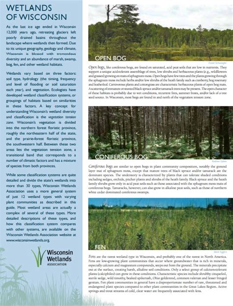 Wetland types | Wisconsin Wetlands Association