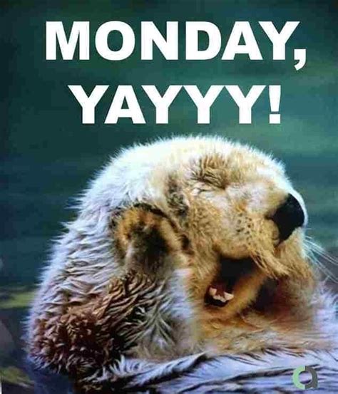 Happy Monday People! Don't whine don't complain don't think about it ...