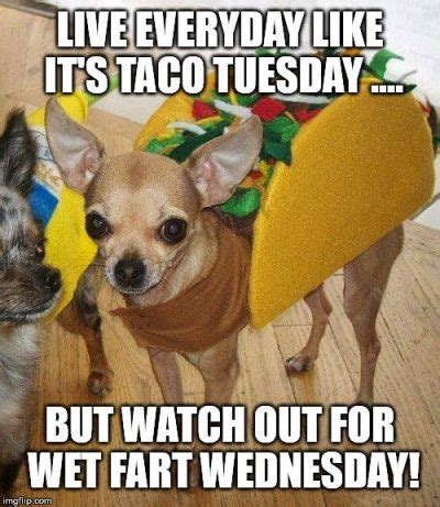 Taco Tuesday Meme Funny - Funny PNG