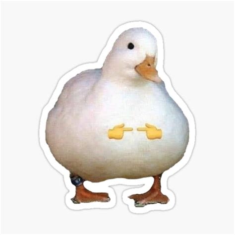 "CUTE DUCK MEME" Sticker for Sale by TimosStickers | Redbubble