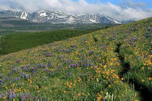 Bighorn Mountains - Bighorn Mountain Country