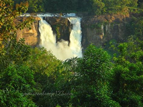 Athirapally And Vazhachal Falls ? A Trip To Remember! #TWC