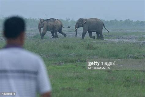 29 Mechi River Stock Photos, High-Res Pictures, and Images - Getty Images