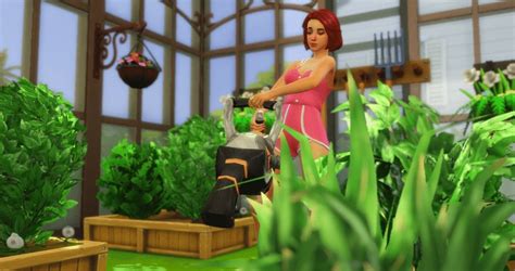 The Sims 4 Gardening with Seasons for a Bountiful Harvest!