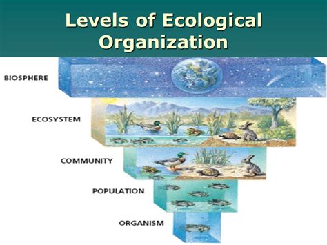 Pin by M Hodge on Ecology (Ecosystem) | Ecology, Ecosystems, Habitats