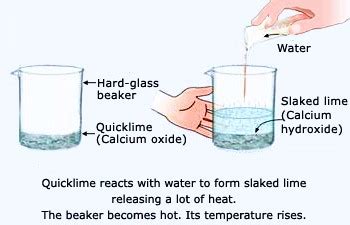 Class 10 Science- Chapter 1- Chemical Reactions and Equations- Formation of Slaked Lime - CBSE ...