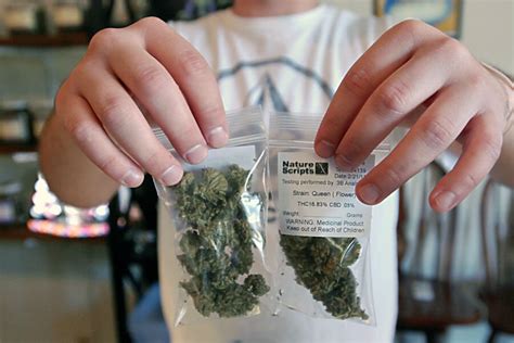 8-year-old caught with pot: How are kids being exposed to marijuana? - CSMonitor.com