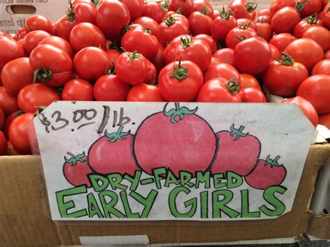 Early Girl Tomato Time - Bay Laurel Culinary