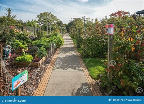 Vegetables, Fruit Trees and Berry Bushes in the Garden Stock Image - Image of lilac, carrots ...