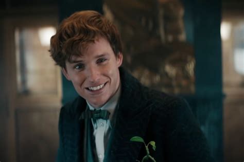 Newt Scamander, who cares: 7 reasons why I’m skipping Fantastic Beasts