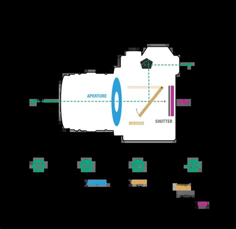 Analog Cameras: Understanding the Basics