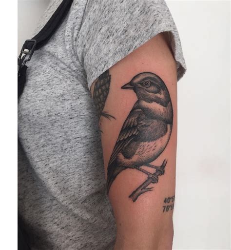 Realistic Bird Tattoo