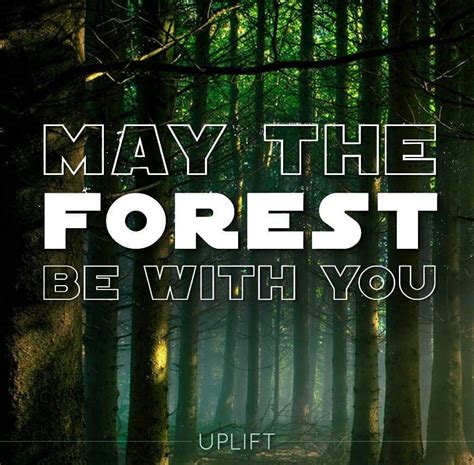 International Day of Forests ~ March 21st! | National parks, Forest ...