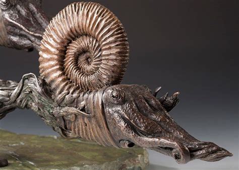 Mesozoic Ammonites Bronze Sculptures