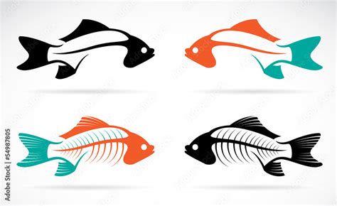 Vector image of an fish bones Stock Vector | Adobe Stock