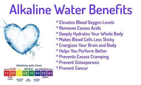 Alkaline Water Pitcher - Alkaline Water Machine Store